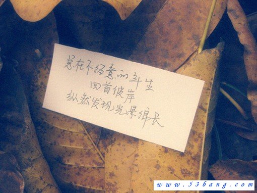 王汉元写给你的话