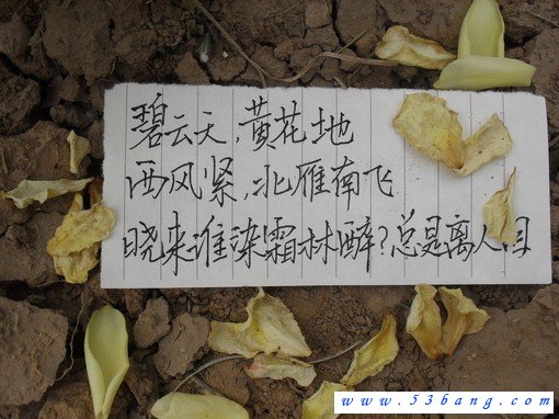 杨连芝写给你的话